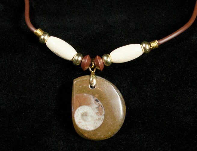 Polished Goniatite Fossil Necklace #3153